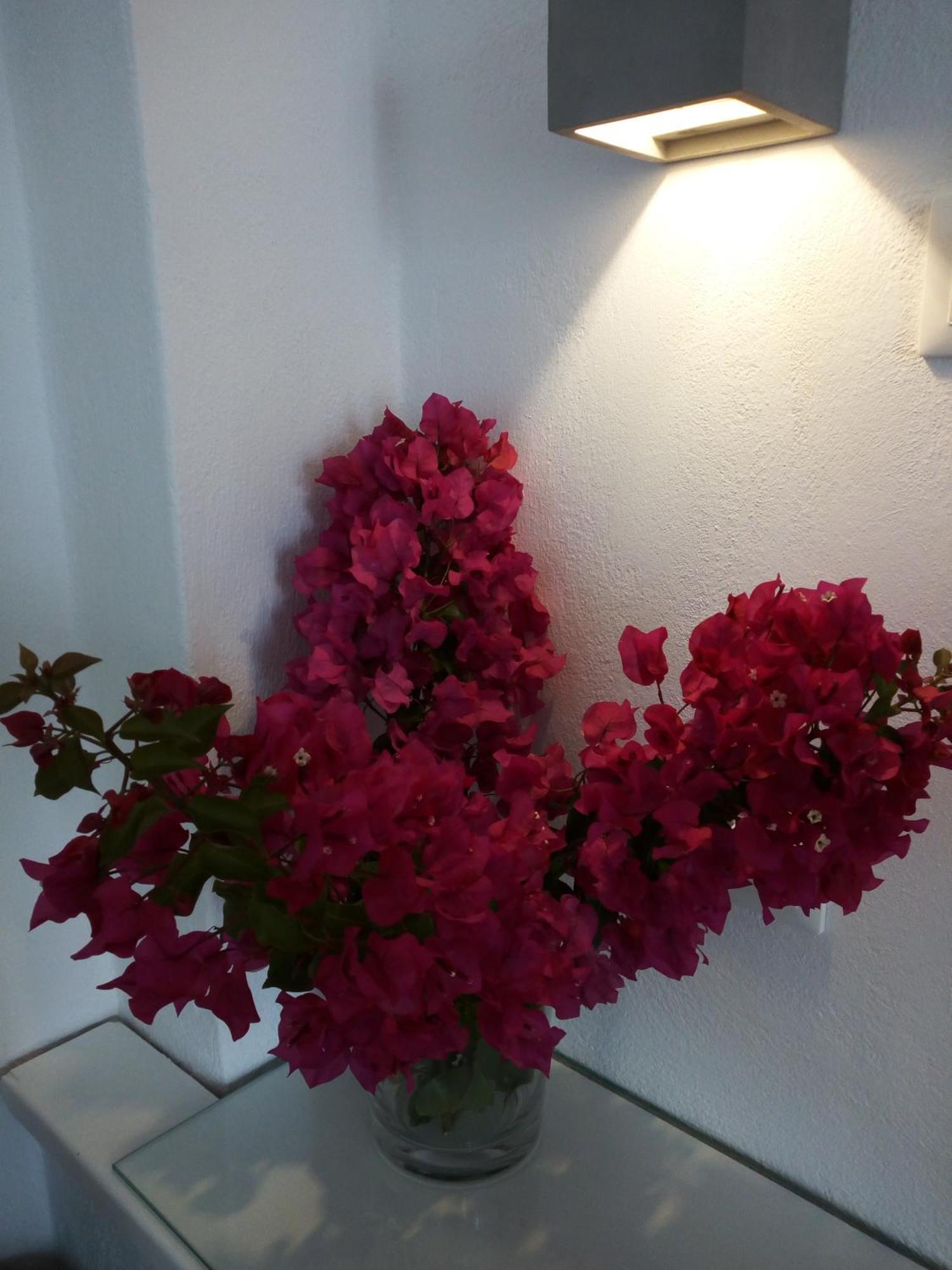 Despina'S Mare Aparthotel Νάουσα Εξωτερικό φωτογραφία