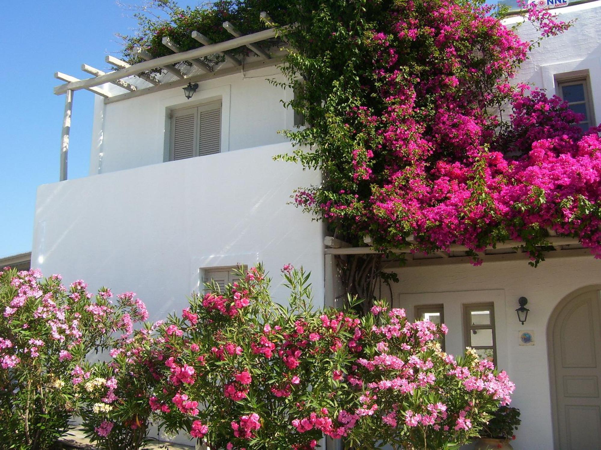 Despina'S Mare Aparthotel Νάουσα Εξωτερικό φωτογραφία