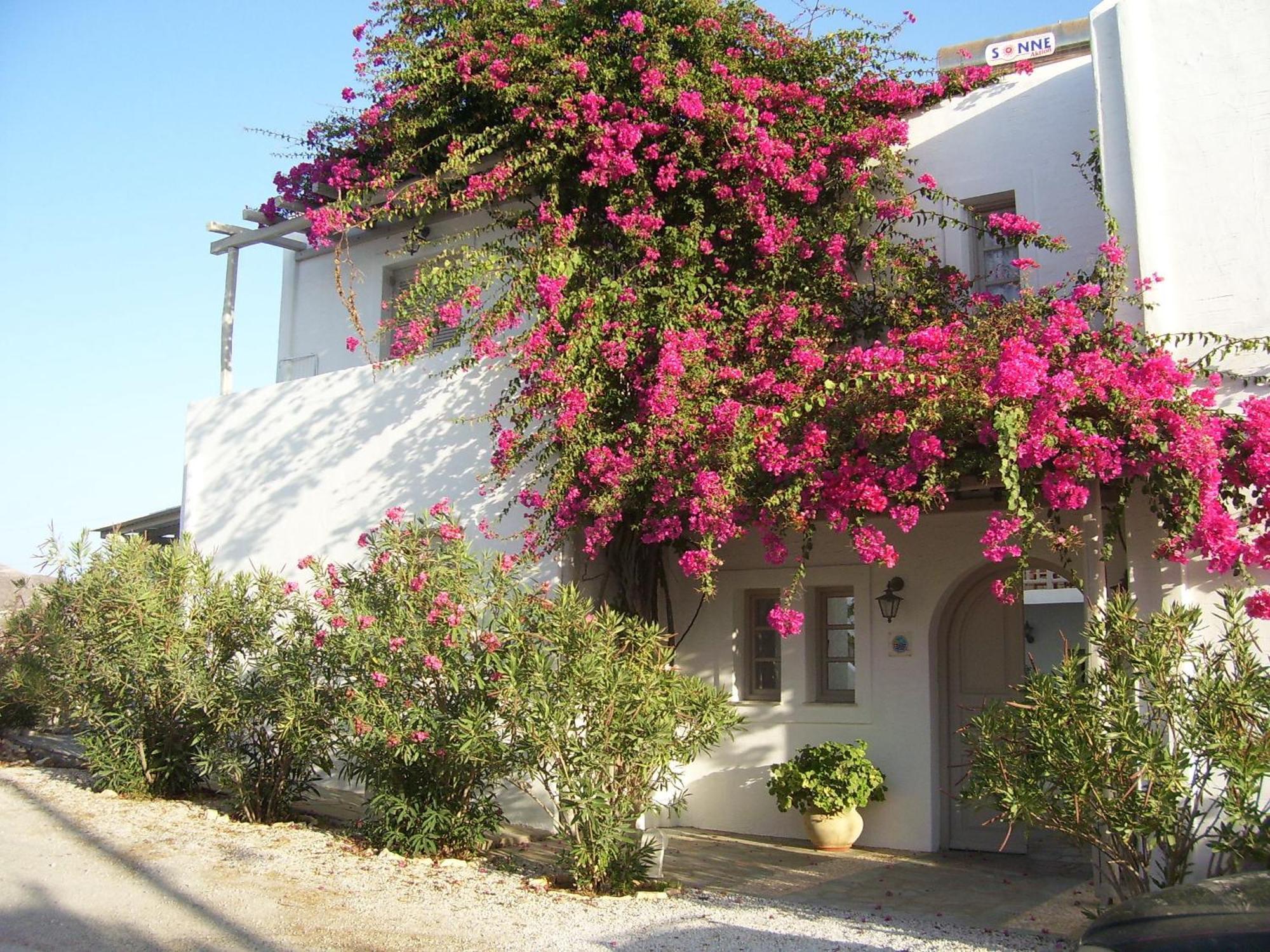 Despina'S Mare Aparthotel Νάουσα Εξωτερικό φωτογραφία