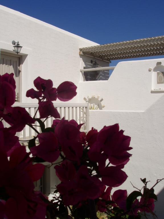 Despina'S Mare Aparthotel Νάουσα Εξωτερικό φωτογραφία