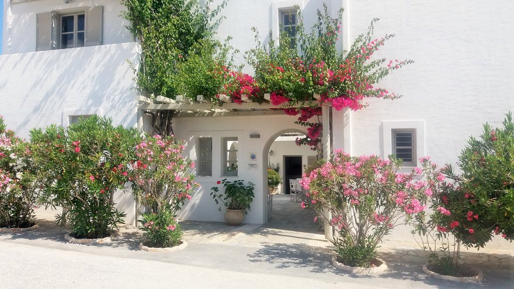 Despina'S Mare Aparthotel Νάουσα Εξωτερικό φωτογραφία